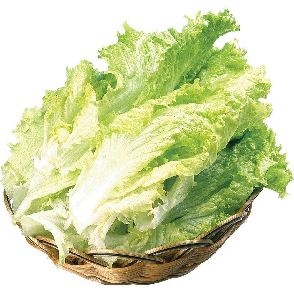 ôԲŽ?Ӧעʳ